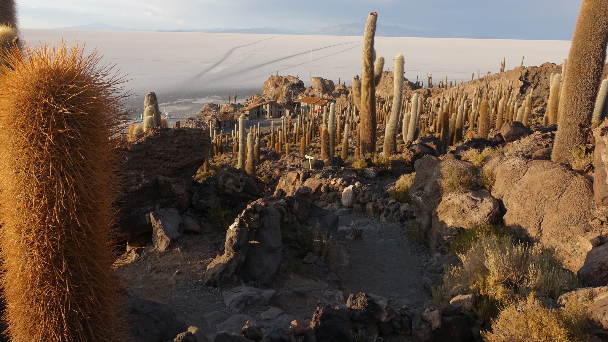Die Kakteeninsel Incahuasi im Salar Uyuni