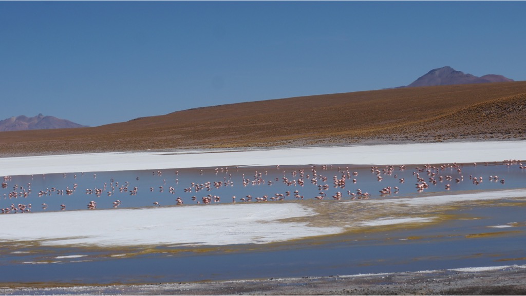 Verflixte Schwerkraft