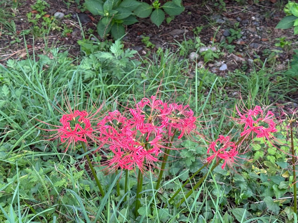 045CCE3C-191F-476C-AE61-7F6631D2CD48