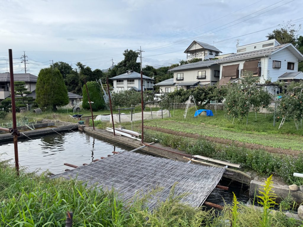 9E1DEDEB-0807-4A84-92EF-0C2EC64E24E8