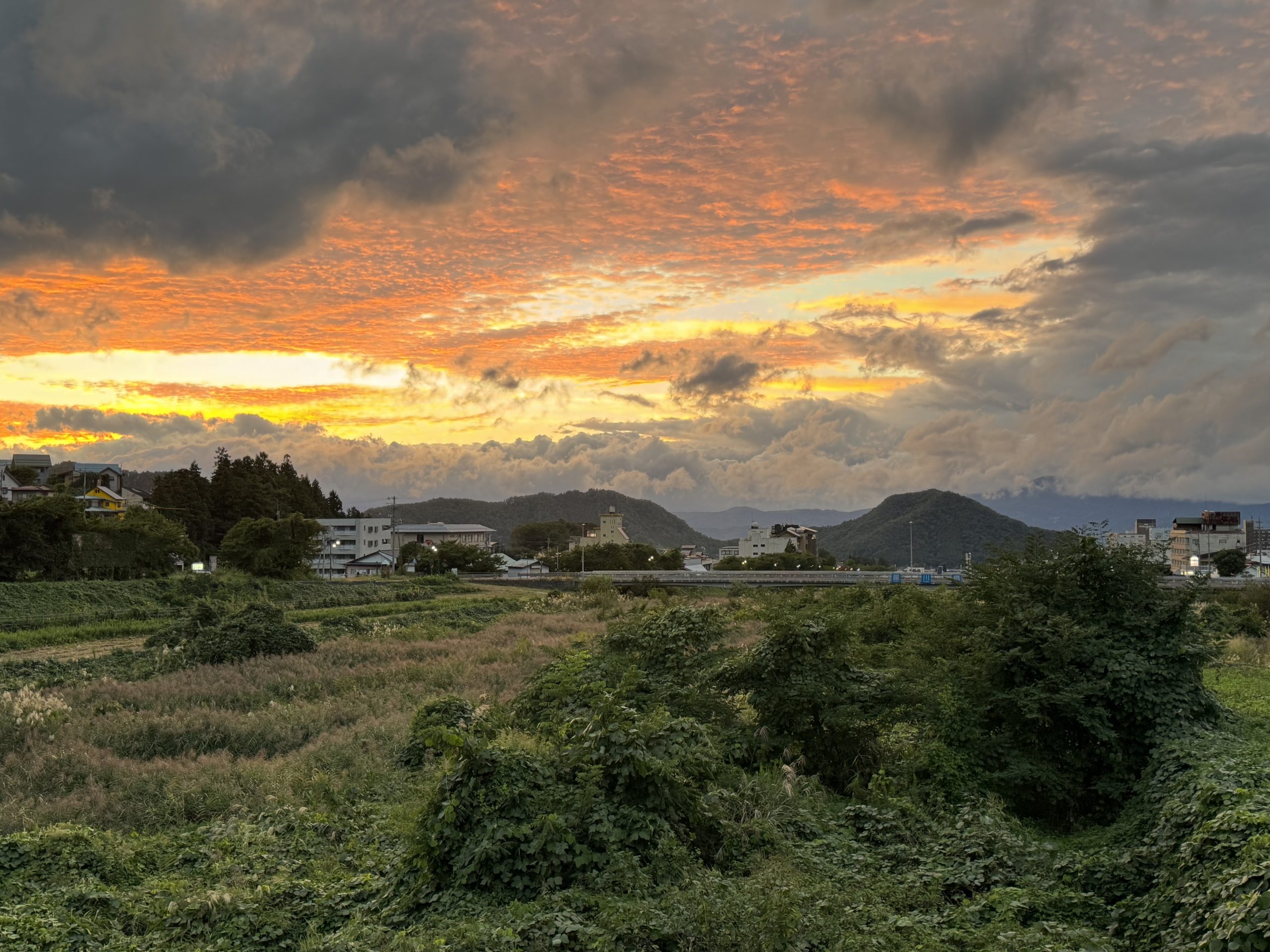 Auf dem Weg zu den Snow-Monkeys