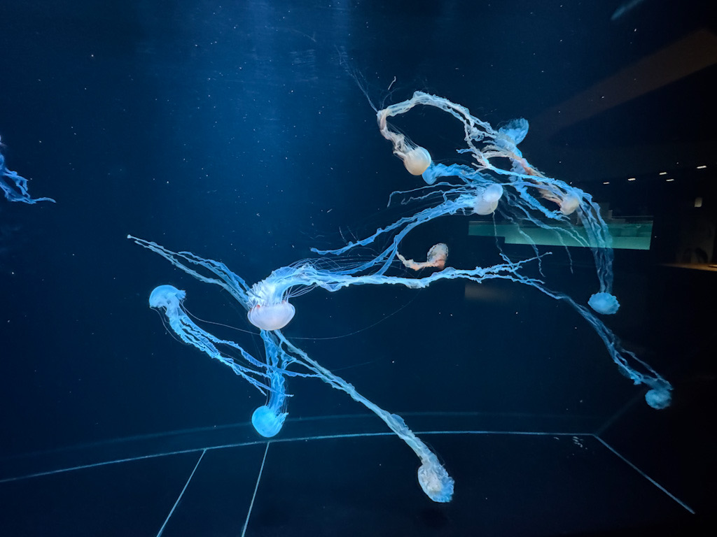 04F64B65-96D5-4BBF-AC36-89CF6F582D2E