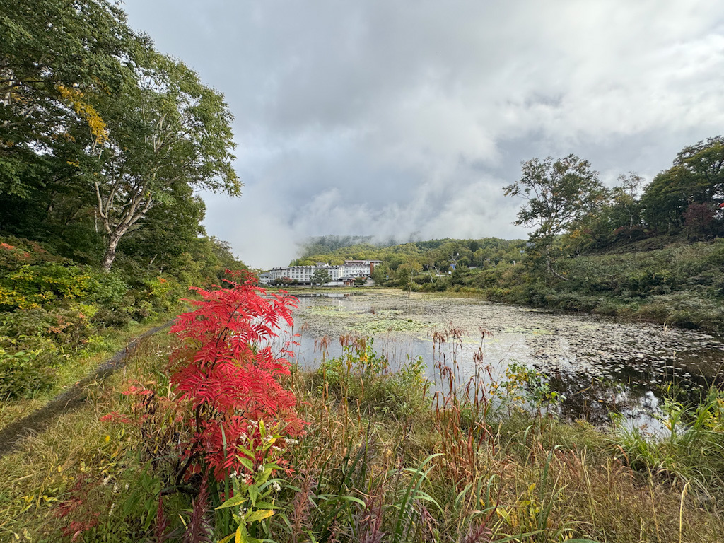 0C3D0040-0D7B-47DC-91B6-84D2B66118E0