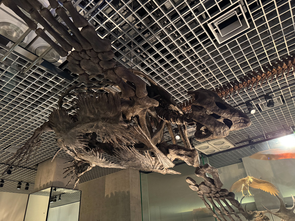 0D0F3D77-9F54-47A4-BE02-3DAE256B924C