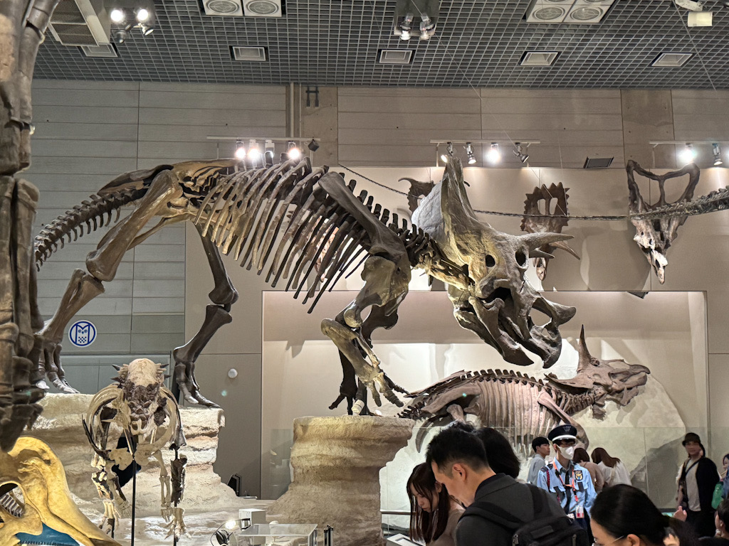 0DFC894A-32A7-4FDD-A23A-31366E0613EE