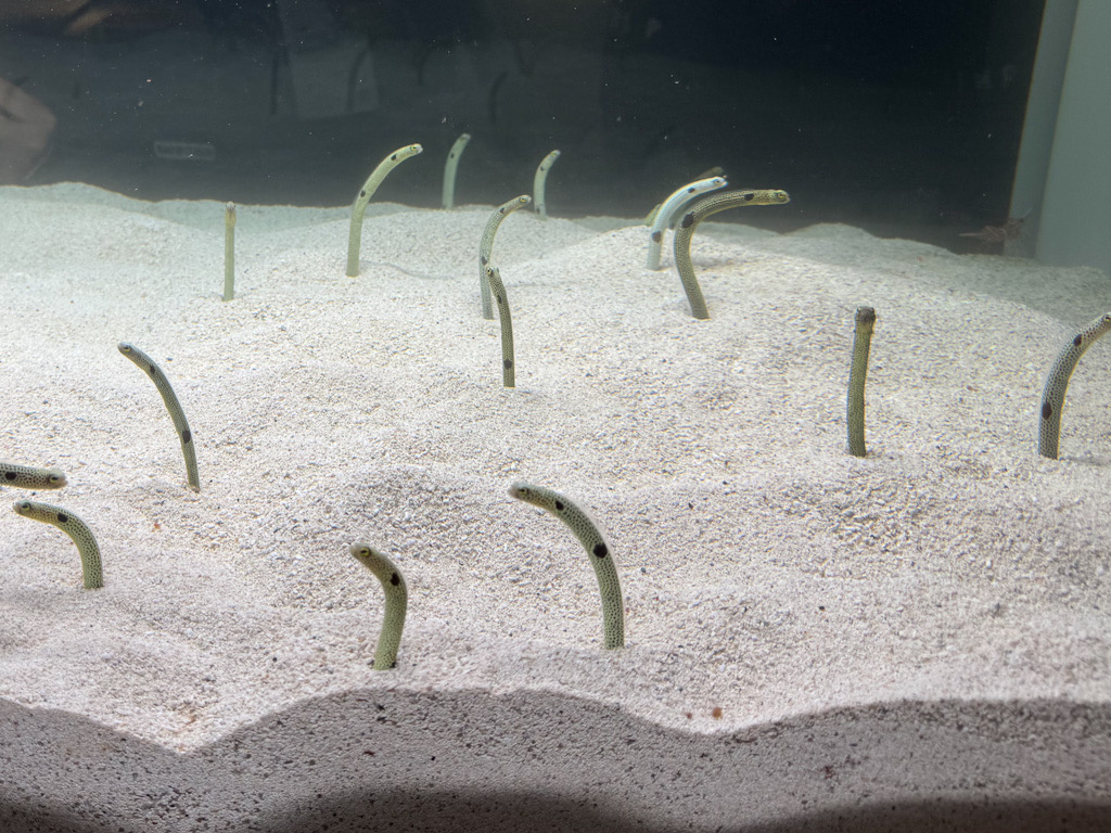 1458123E-CA6E-4F56-A2B4-3929867DBC6B