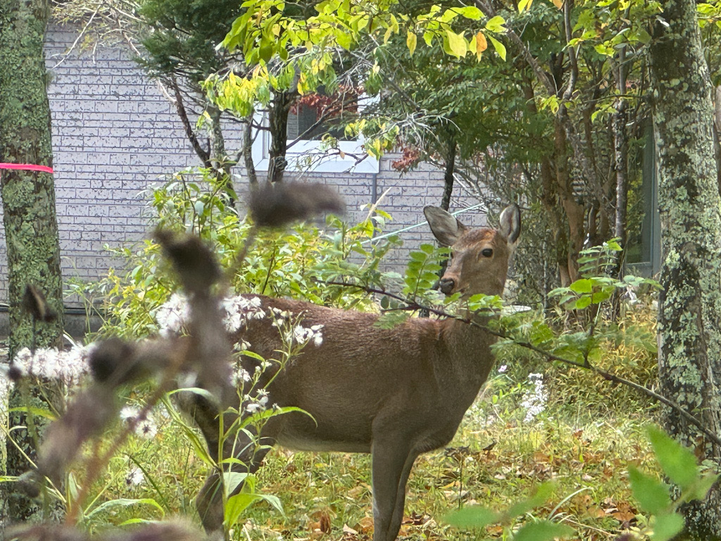 18AA5476-3505-4461-B567-BAE82E2F8C76