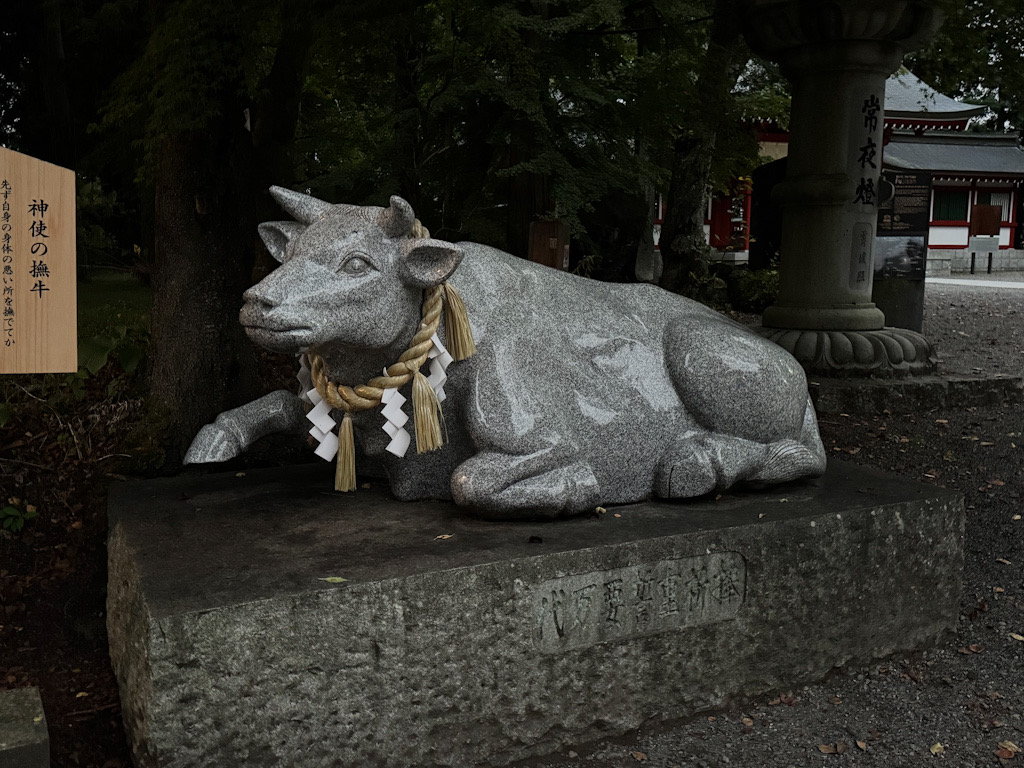 1D3A4E0C-B26C-400D-8B9F-56EEB2797114