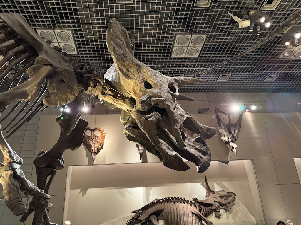 20CDE232-25FE-4AAE-A478-4F05FDA1BFEE