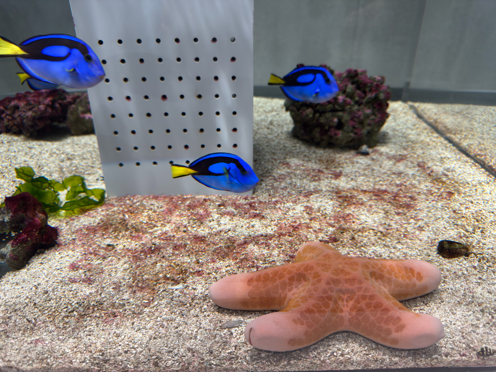 32FBD586-8E8A-4252-AD4E-0A2DFE753035