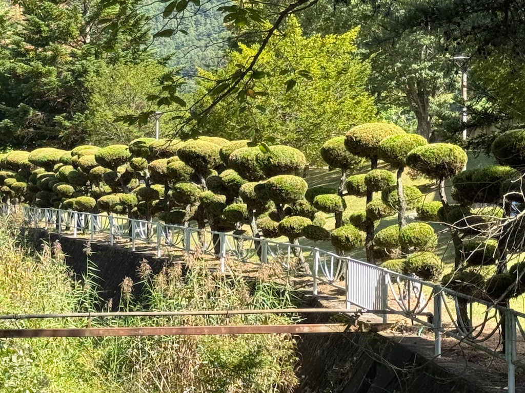 3C057BAF-C4C5-4875-8598-B8F6BB01ABCD