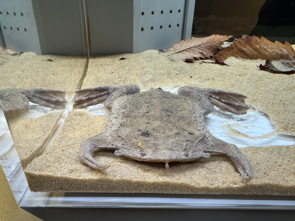 3F60F67C-1BFA-406B-9BFE-FBA4D81A468E