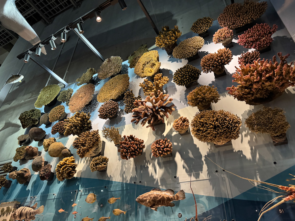 423877F5-7A7F-4605-B4FA-79C770F888AB