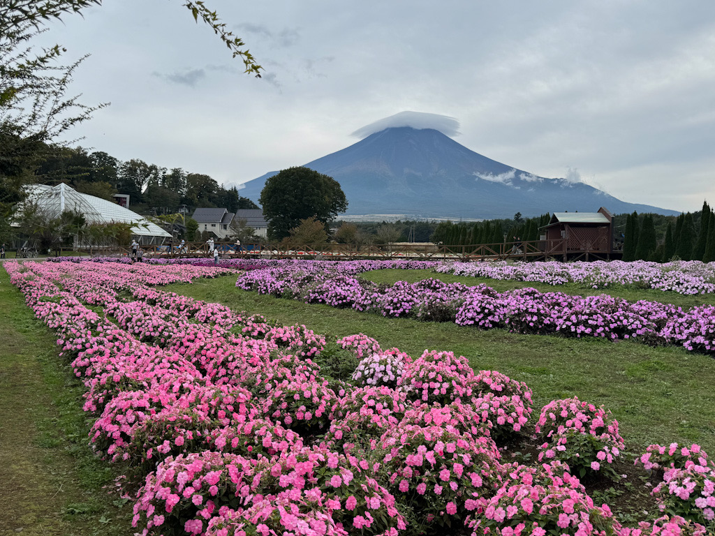 478E6340-644F-4D15-B43C-F451716F4867