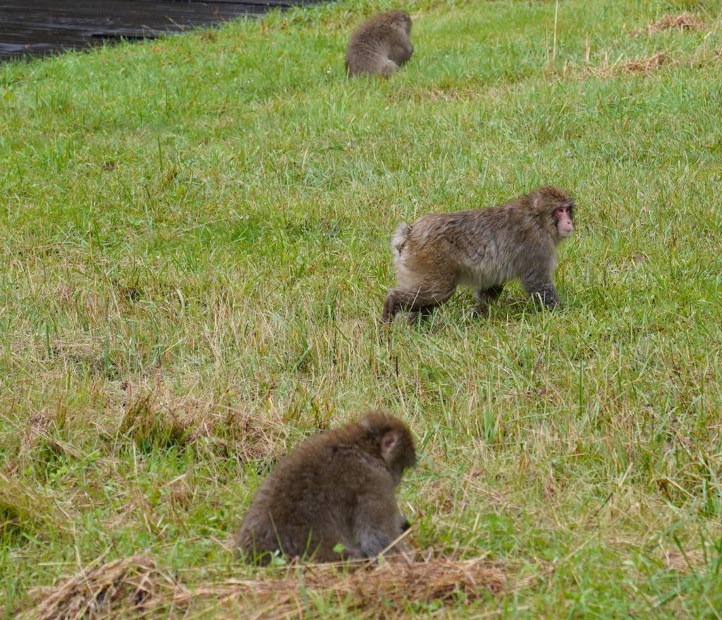 4D9C0DB6-5CC5-408C-9BB2-D58AA2013C5A