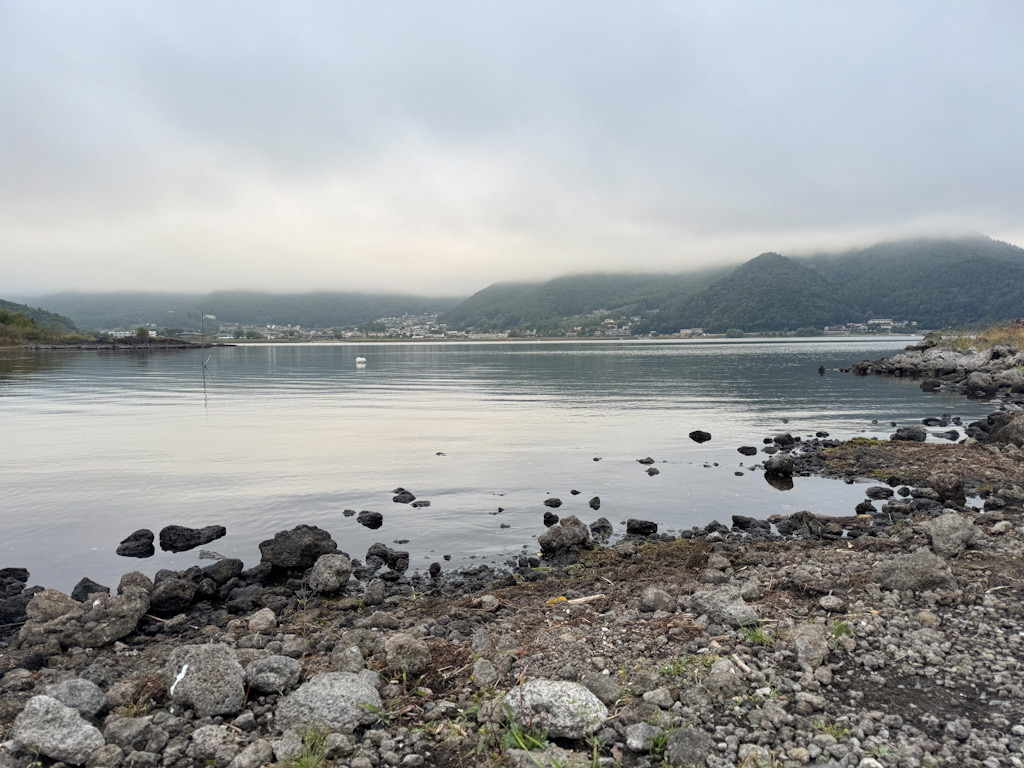 4E5E29EE-4FB0-4C5D-9A80-6E4554240B76