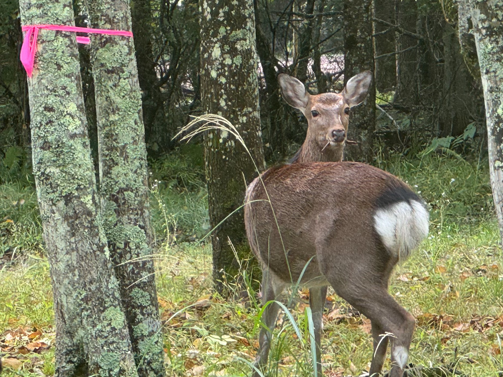 4F1DF0B4-B5E6-48FC-9121-C09F95B9555C