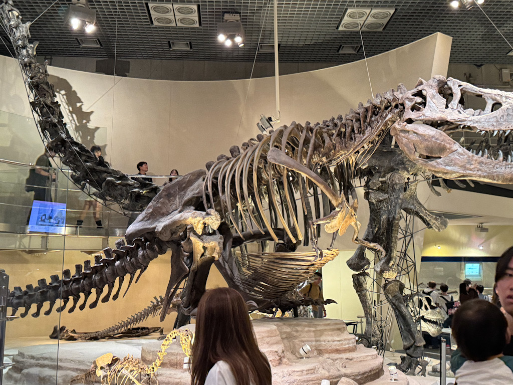 55960331-177C-4C69-A97E-9F3B8E749B17