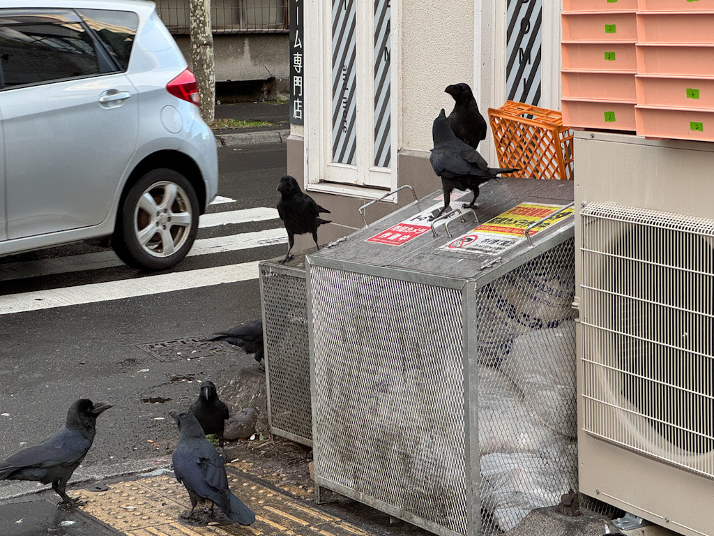 58DE6505-75B5-444A-B0DD-1CF4F5792B1C