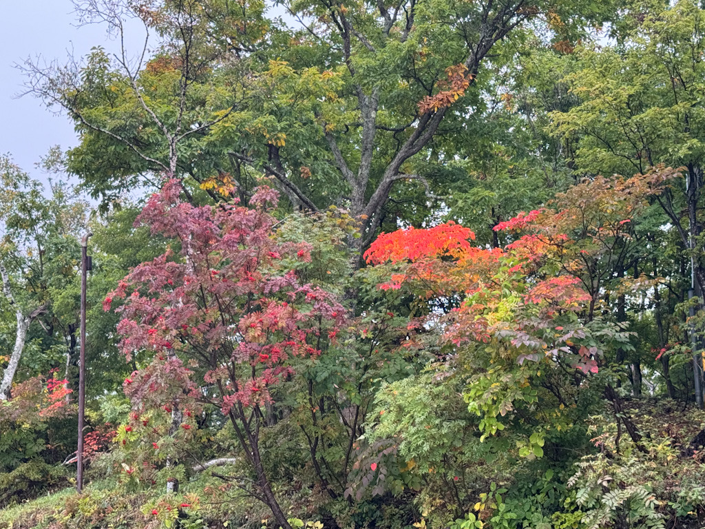 60C6BDC7-C0B0-410A-9040-1EFF0680A038