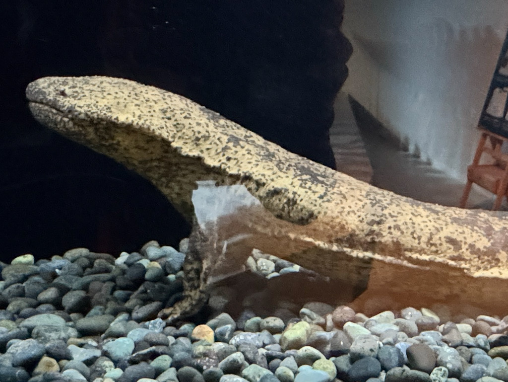 6B0B83C3-72DF-4DDF-BFAD-822AA72420AB