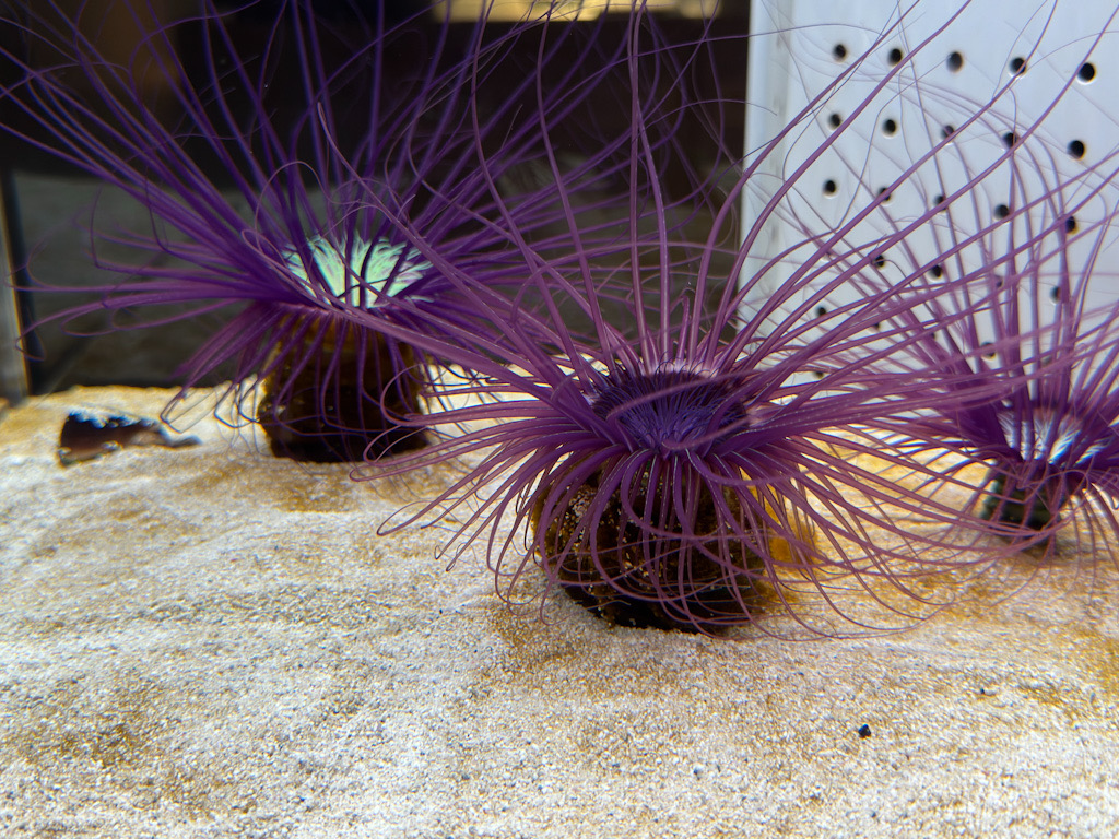 708ECD41-2BA6-4611-8FCC-9BBC2F8F5D3C