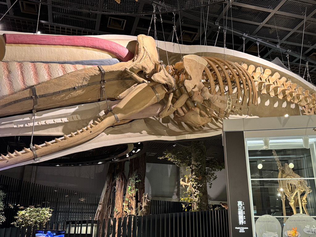 7B950172-04CB-4B0C-85F0-62C06360BE9F