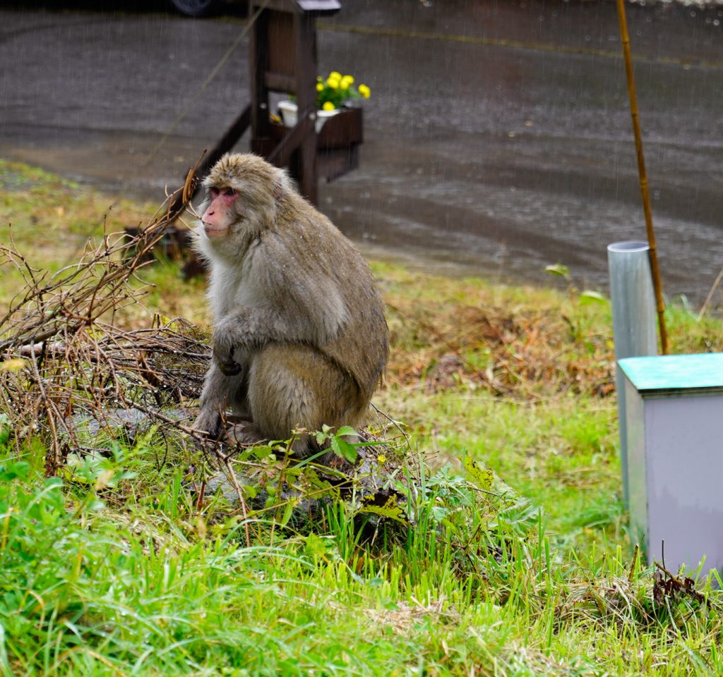 83DB4C0D-4348-455C-9371-0350C894A811