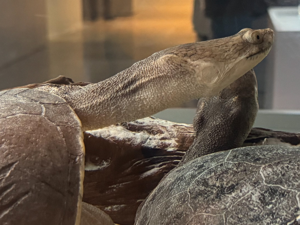 86648666-9B32-4441-B70D-A216D6446405