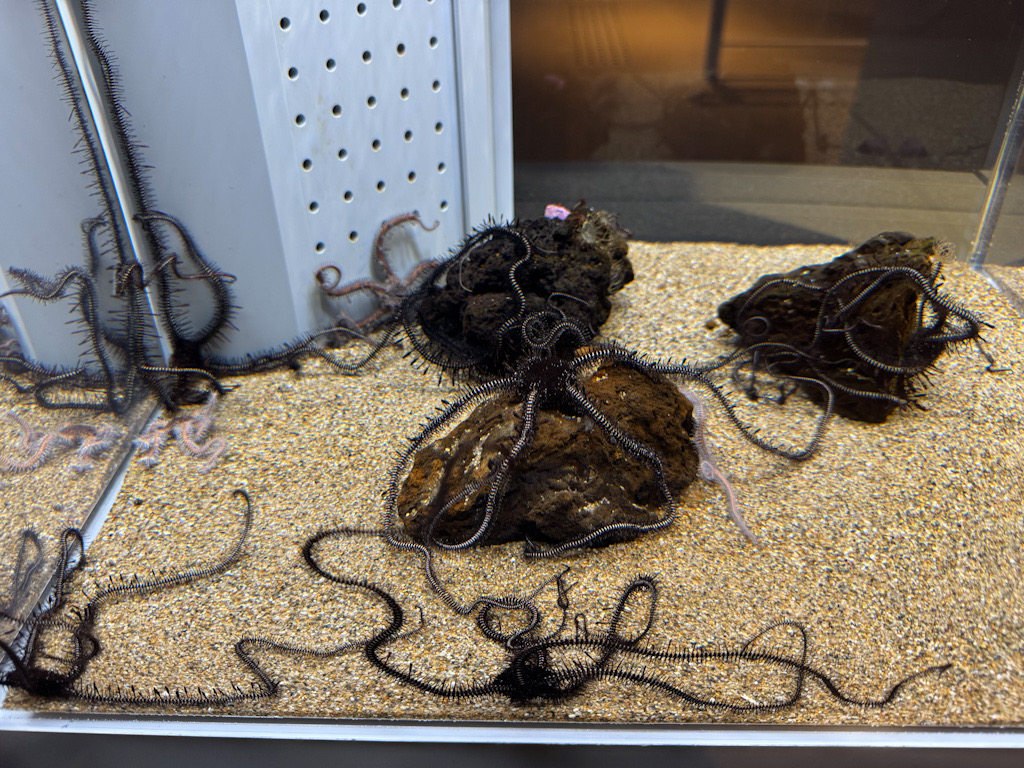 879CD308-F827-4E9A-8E8B-A822C3355F0F