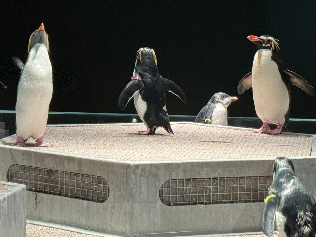 9E69EF1B-5EC3-4A28-BA4B-946E12060038