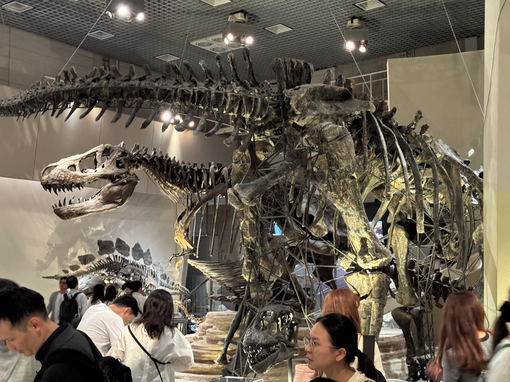 AE7FF2A8-5829-4D02-93A9-64DA8DD9EBCC