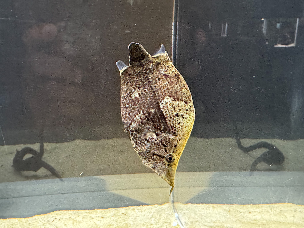 BAC6C584-4ACE-4096-86E2-E53121BFB0D2