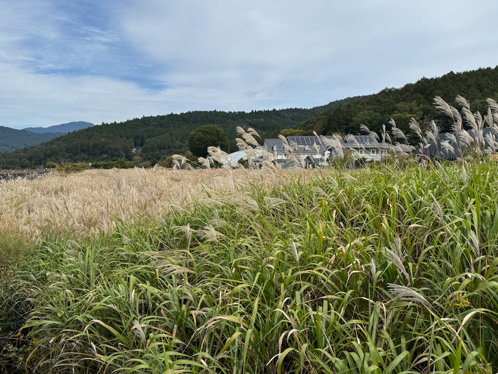 C62FD269-4ADE-4B3A-B05D-95F0276448C3