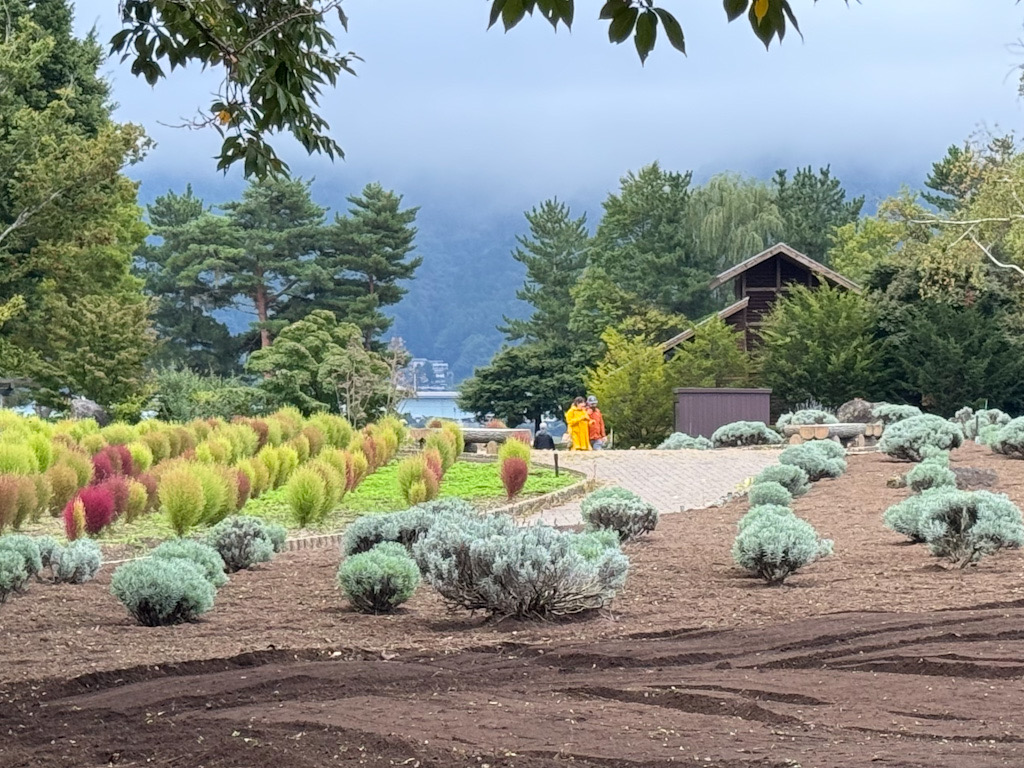 CEAD0E04-9F0D-487B-9DF0-CB24D0393A70