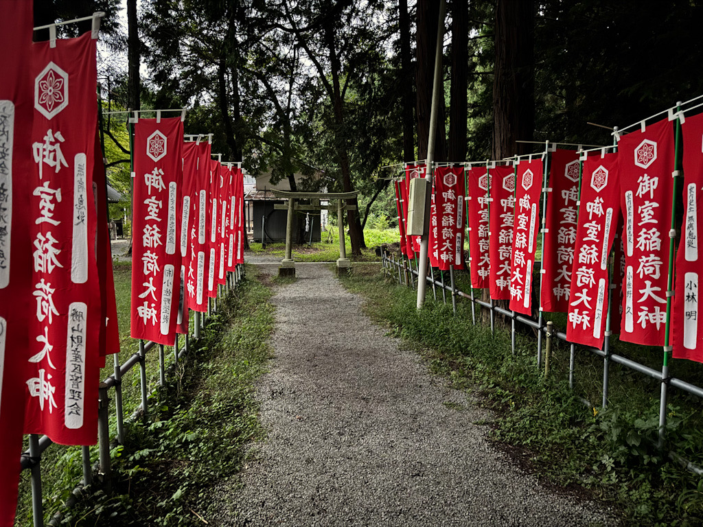 D50E8FA6-ED6A-4A1E-BA4D-E31576AD973F