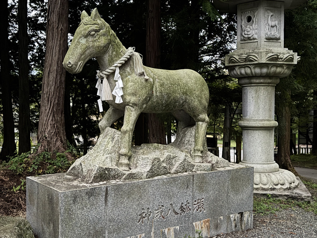 D57E1640-BAFE-49EF-99BB-58AF3479A8A9