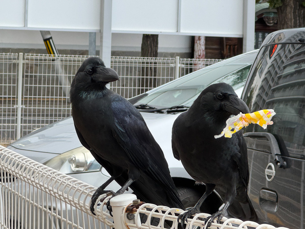 DECEDCA9-106A-4240-80E1-BCC90D08AA65