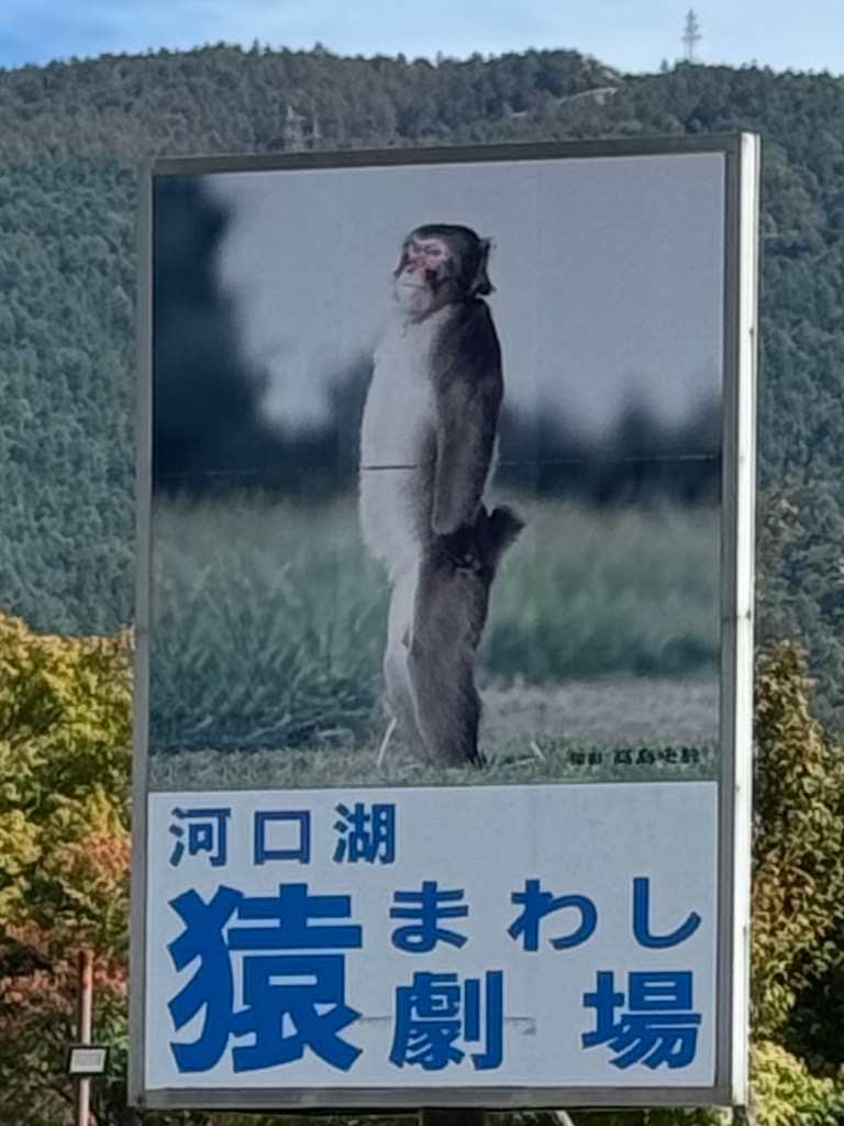 F55F9ED5-714E-447A-B4EB-025264F5678D