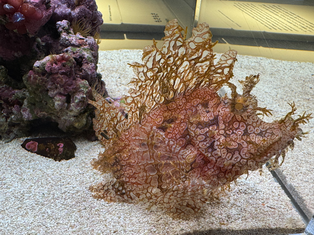 F72B195D-B967-4DE9-96C3-80C1062C0285