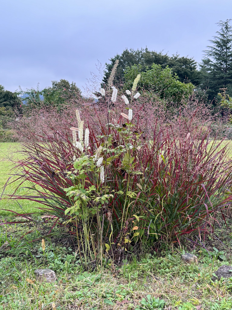 F9C1FF84-0E25-4247-8099-E9B59FDC09F4