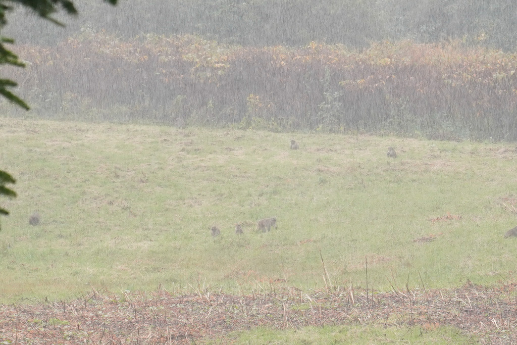 FC61B21D-E124-4BDC-A684-E6E7B255A5CB