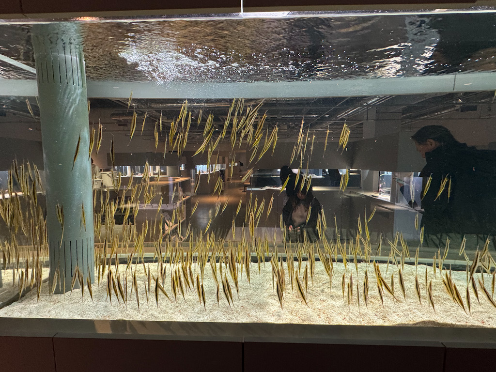 FE9A1547-D183-4D3A-BB3B-393551CA9A22