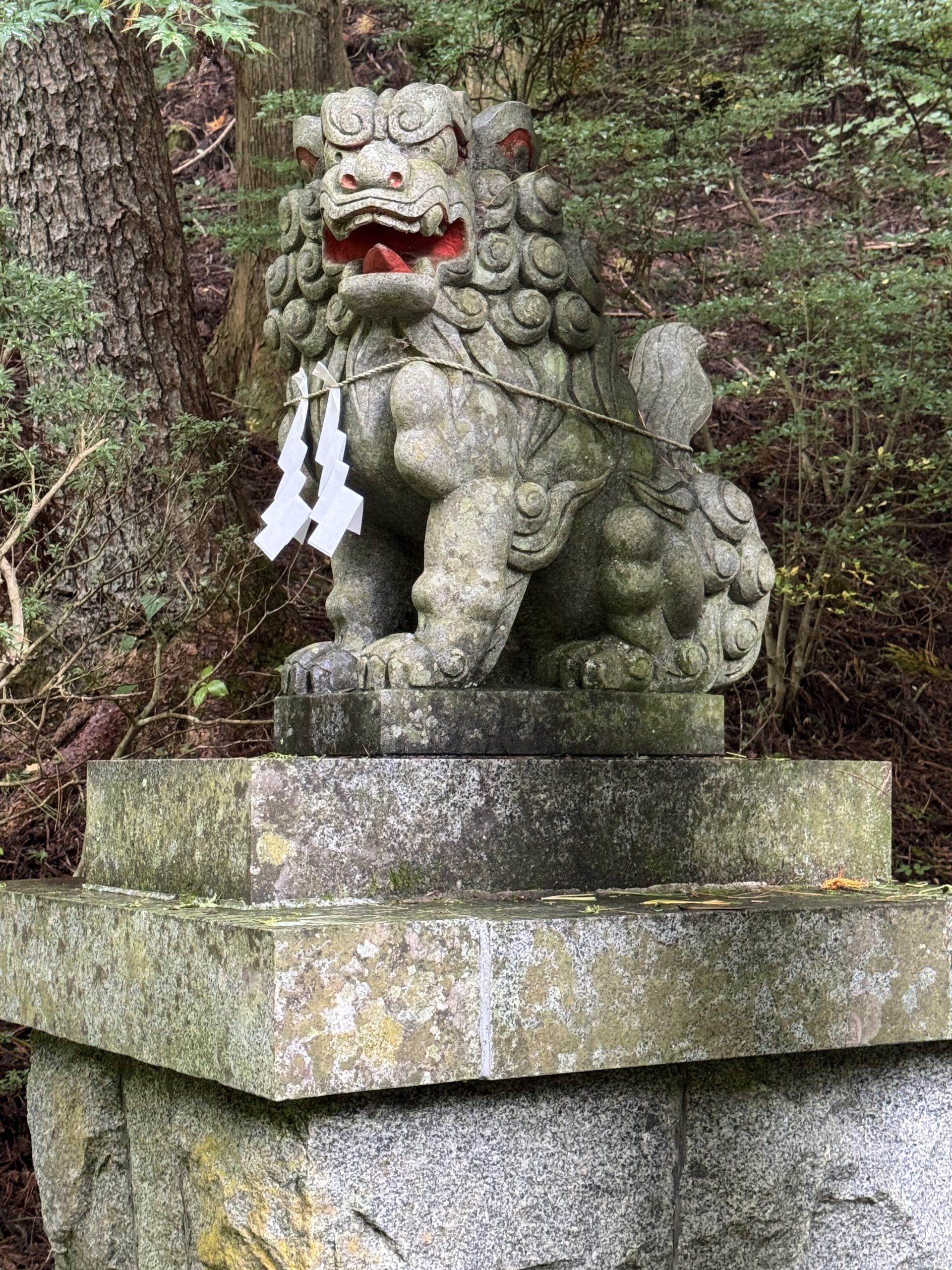 Lake Yamanaka oder die zwei Millionen Stufen zum Mount